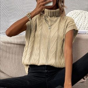 Beige turtleneck knit sweater top